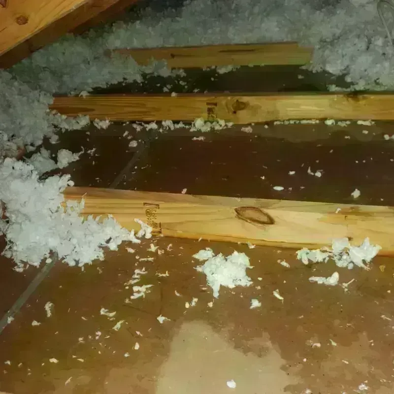 Attic Water Damage in Livingston County, NY