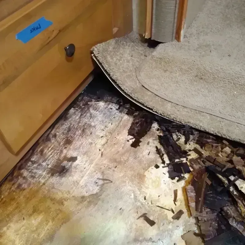 Best Wood Floor Water Damage Service in Livingston County, NY